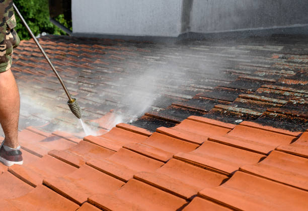 Best Pressure Washing Near Me  in Enetai, WA